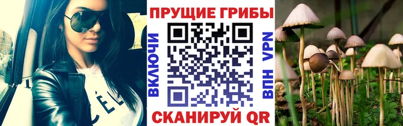 купить наркотики сайты  Гуково  Галлюциногенные грибы MAGIC MUSHROOMS 